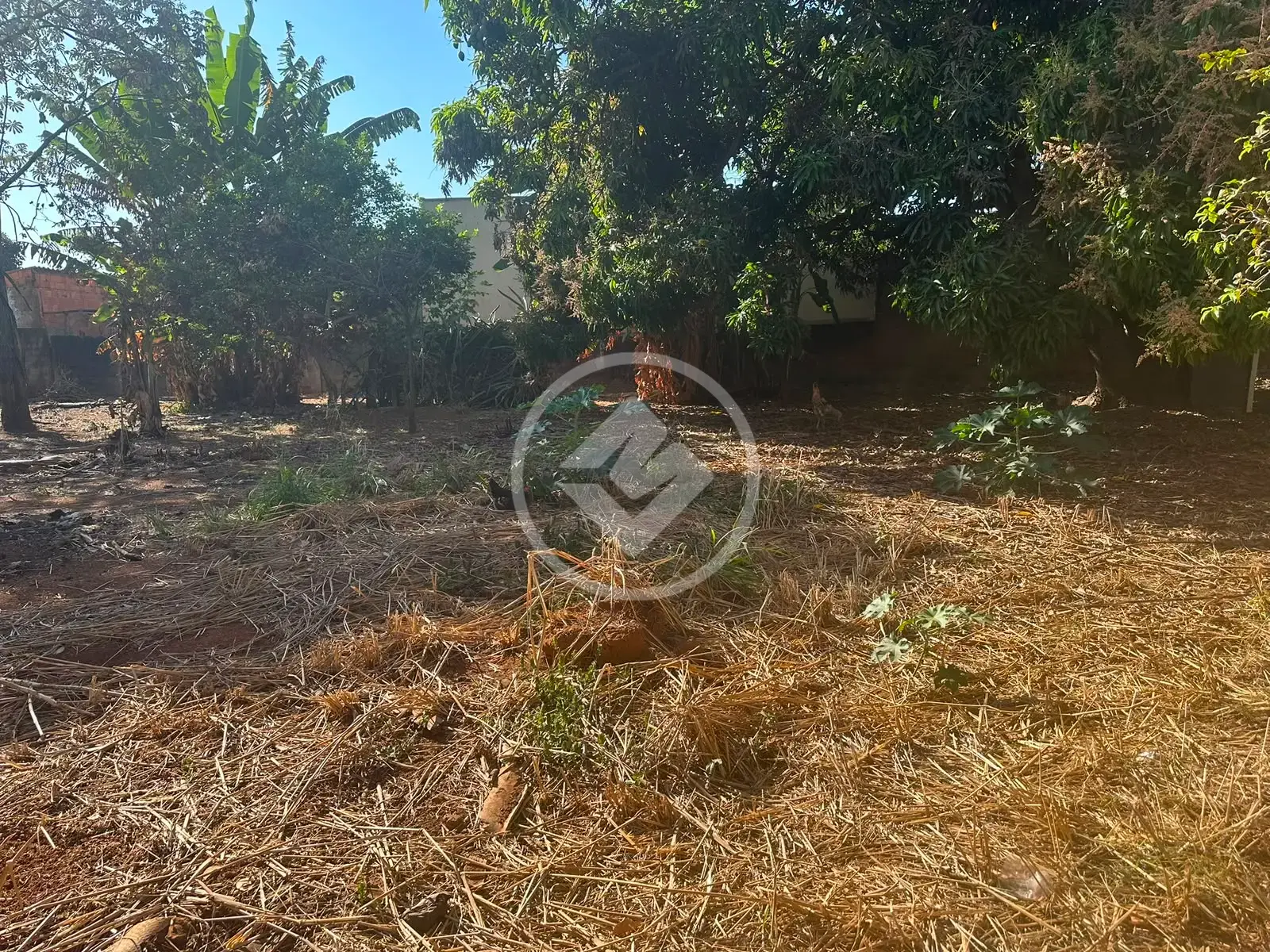 ÁREA À VENDA – 1.500 m² EM APARECIDA DE GOIÂNIA. — foto 4