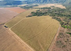 Fazenda null, Santa Rita do Tocantins - TO — foto 1