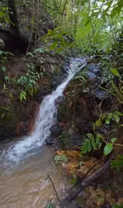 Imagem 2 - Fazenda em Centro, Anápolis - GO