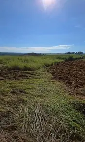 Fazenda Centro, Anápolis - GO — foto 1