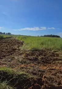 Fazenda Centro, Anápolis - GO — foto 2