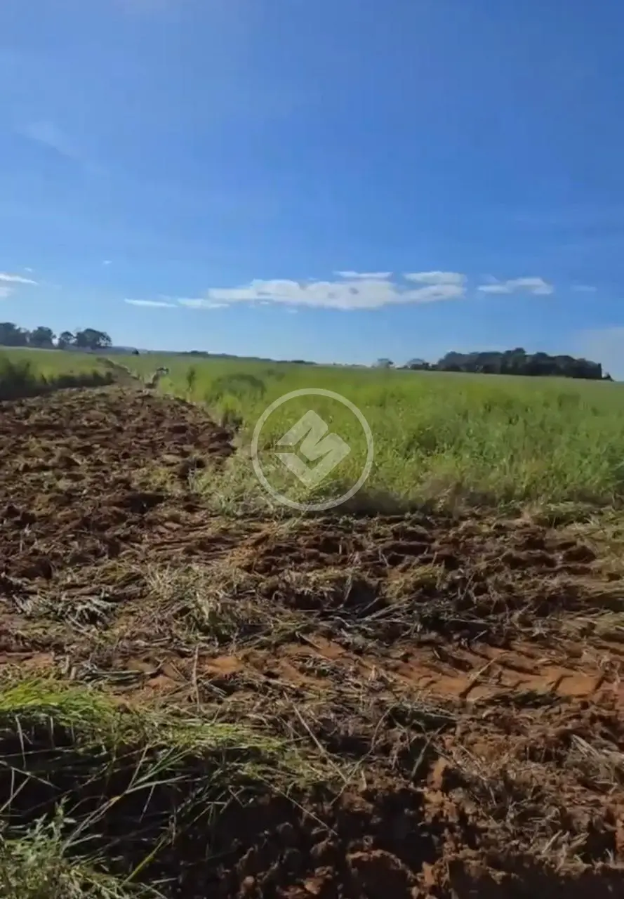 Image 2 - Fazenda em Centro, Anápolis - GO