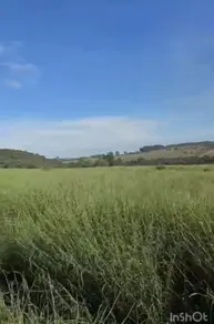 Imagem 3 - Fazenda em Centro, Anápolis - GO