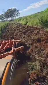 Imagem 4 - Fazenda em Centro, Anápolis - GO