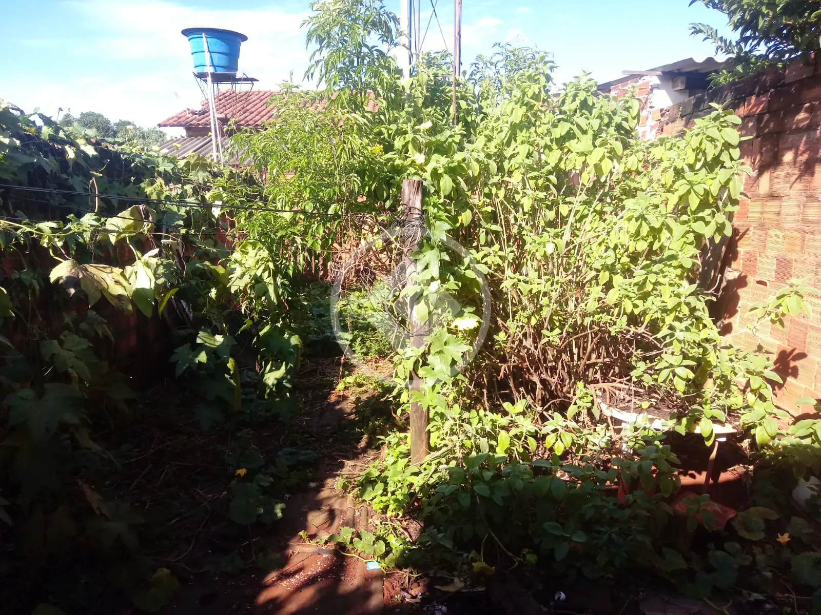 Imagem 4 - Casa em Residencial Vereda dos Buritis, Goiânia - GO