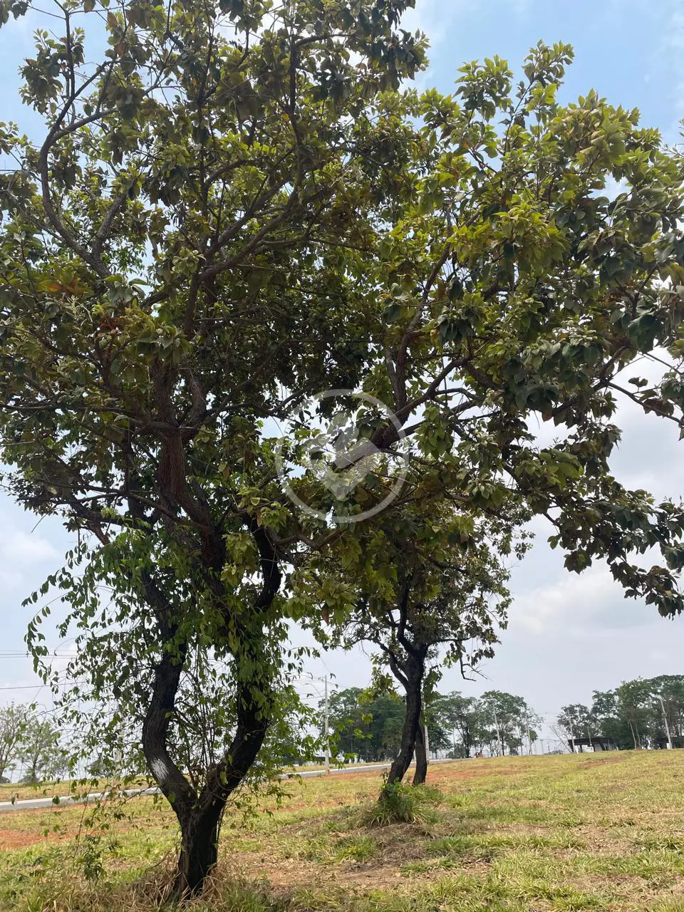 Imagem 5 - Terreno Condomínio em Residencial Aldeia do Parque, Aparecida de Goiânia - GO