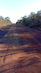 Imagem 2 - Fazenda em Centro, Abreulândia - TO