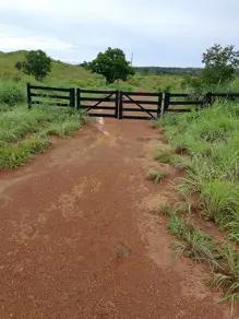 Fazenda Conceição do Araguaia, Conceição do Araguaia - PA — foto 1