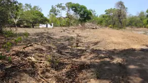 Imagem 2 - Fazenda em Miracema, Miracema do Tocantins - TO