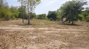 Imagem 3 - Fazenda em Miracema, Miracema do Tocantins - TO