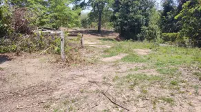 Imagem 4 - Fazenda em Miracema, Miracema do Tocantins - TO