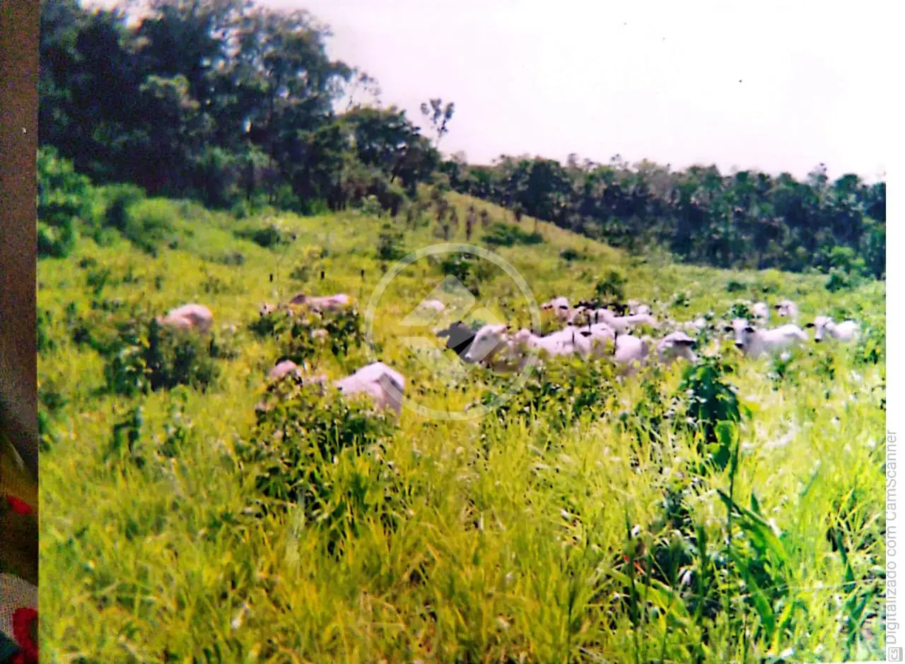 Imagem 1 - Fazenda em Miracema, Miracema do Tocantins - TO