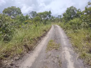 Fazenda Banhado mineiro, Palmeirante - TO — foto 1