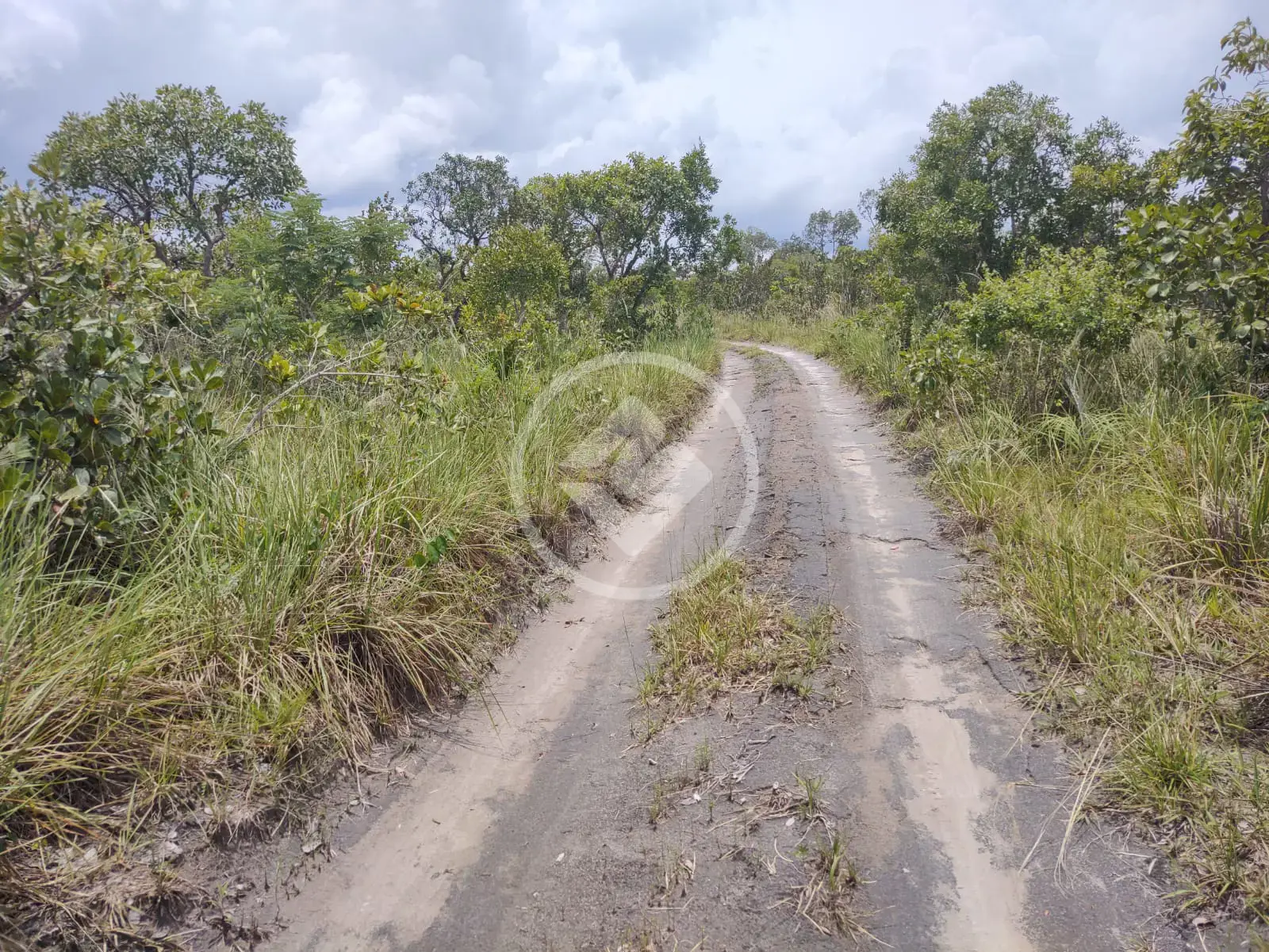 Imagem 1 - Fazenda em Banhado mineiro, Palmeirante - TO