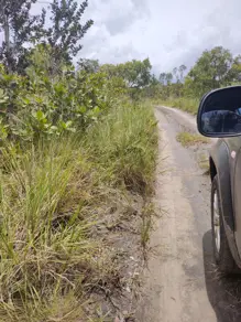 Imagem 3 - Fazenda em Banhado mineiro, Palmeirante - TO