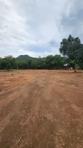 Imagem 3 - Chácara em RURAL, Palmas - TO