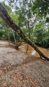 Chácara RURAL, Palmas - TO — foto 2