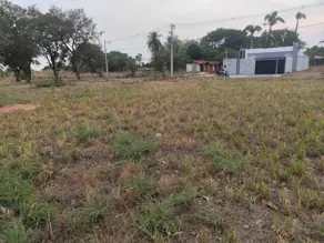 Imagem 5 - Terreno em Plano Diretor Sul, Palmas - TO