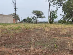 Terreno Plano Diretor Sul, Palmas - TO — foto 1
