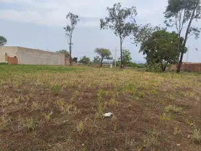 Terreno Plano Diretor Sul, Palmas - TO — foto 2