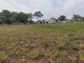Imagem 6 - Terreno em Plano Diretor Sul, Palmas - TO