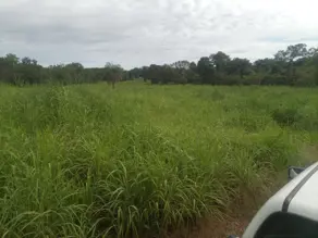 Fazenda Natividade, Natividade - TO — foto 1