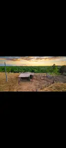 Chácara Área Rural de Palmas, Palmas - TO — foto 1