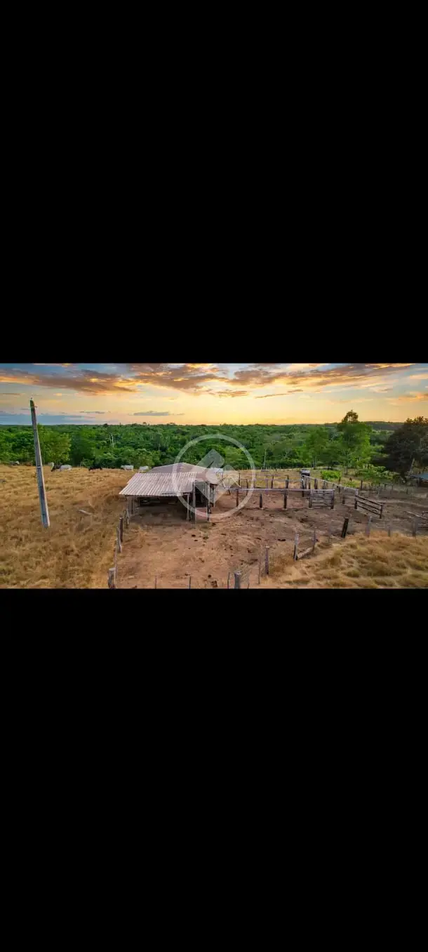 Imagem 1 - Chácara em Área Rural de Palmas, Palmas - TO
