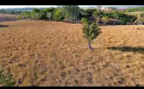 Chácara Área Rural de Palmas, Palmas - TO — foto 2