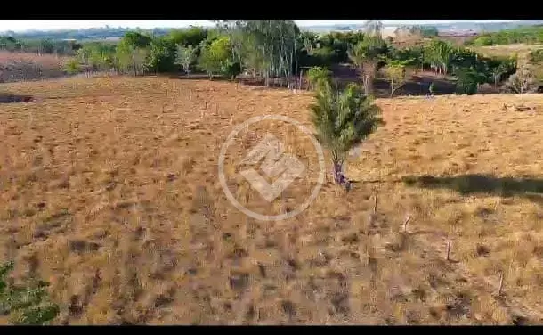 Image 2 - Chácara em Área Rural de Palmas, Palmas - TO