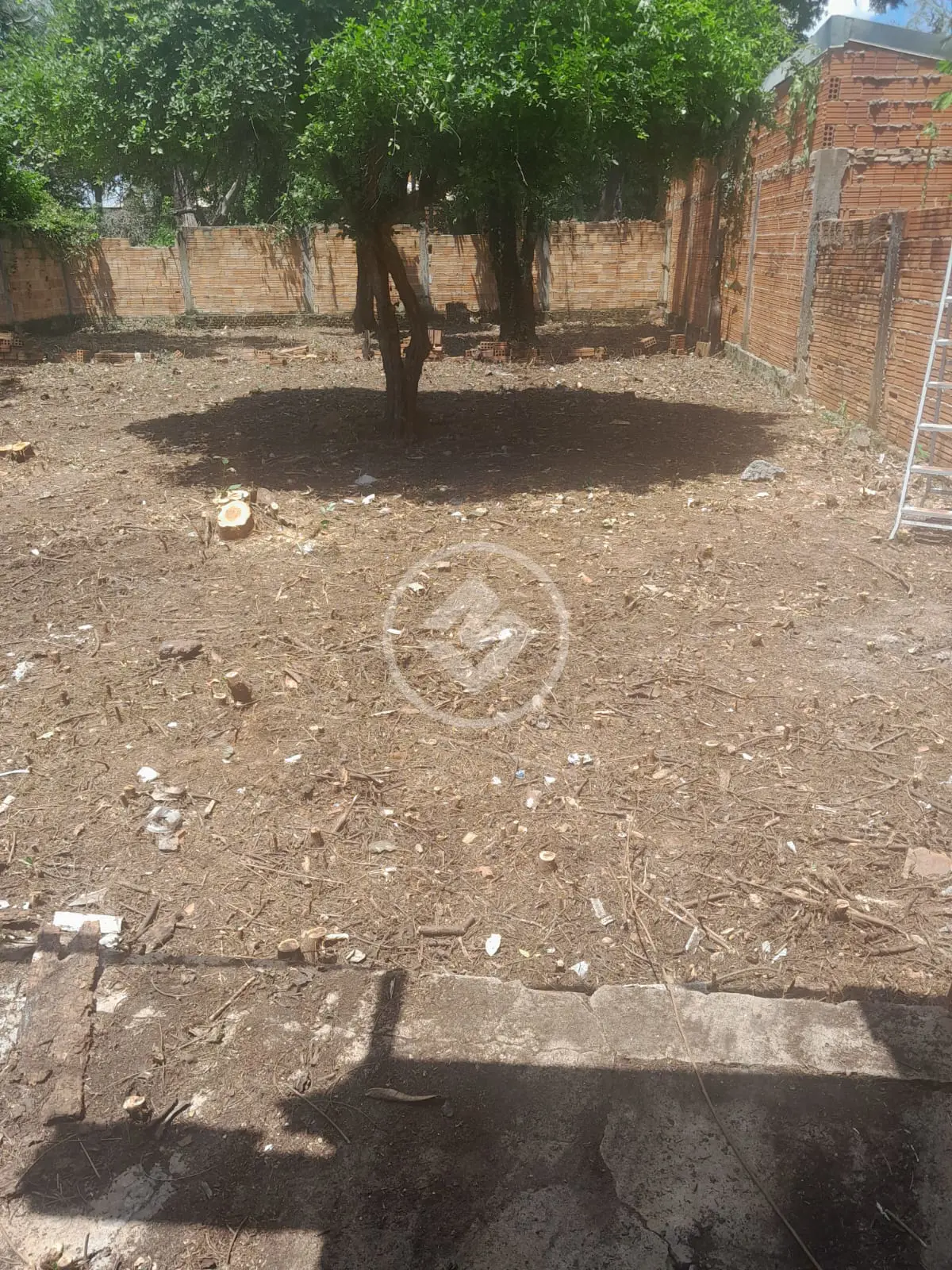 Imagem 1 - Terreno em Centro, Cáceres - MT