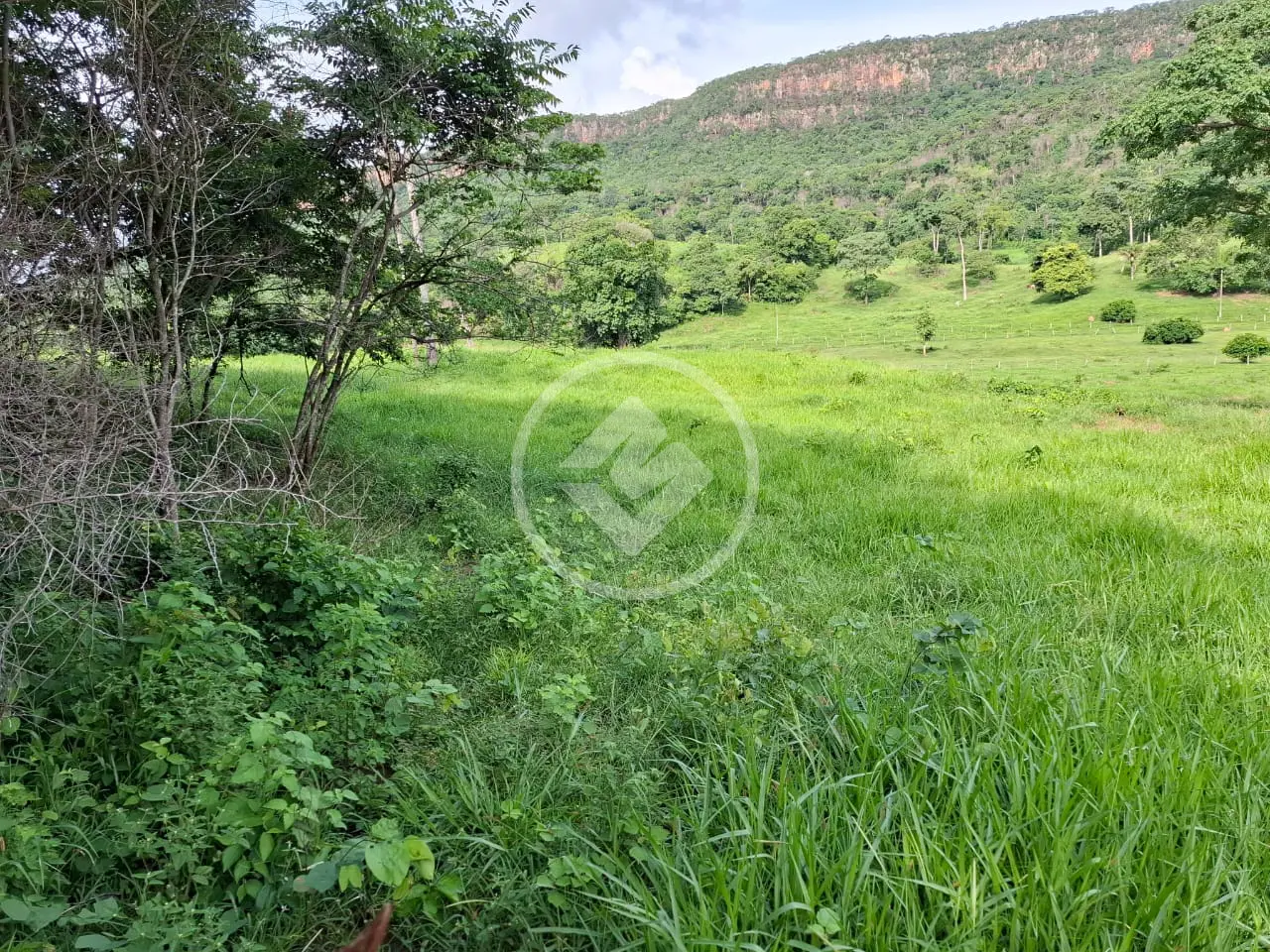 Imagem 1 - Fazenda em ZONA RURAL, Cáceres - MT