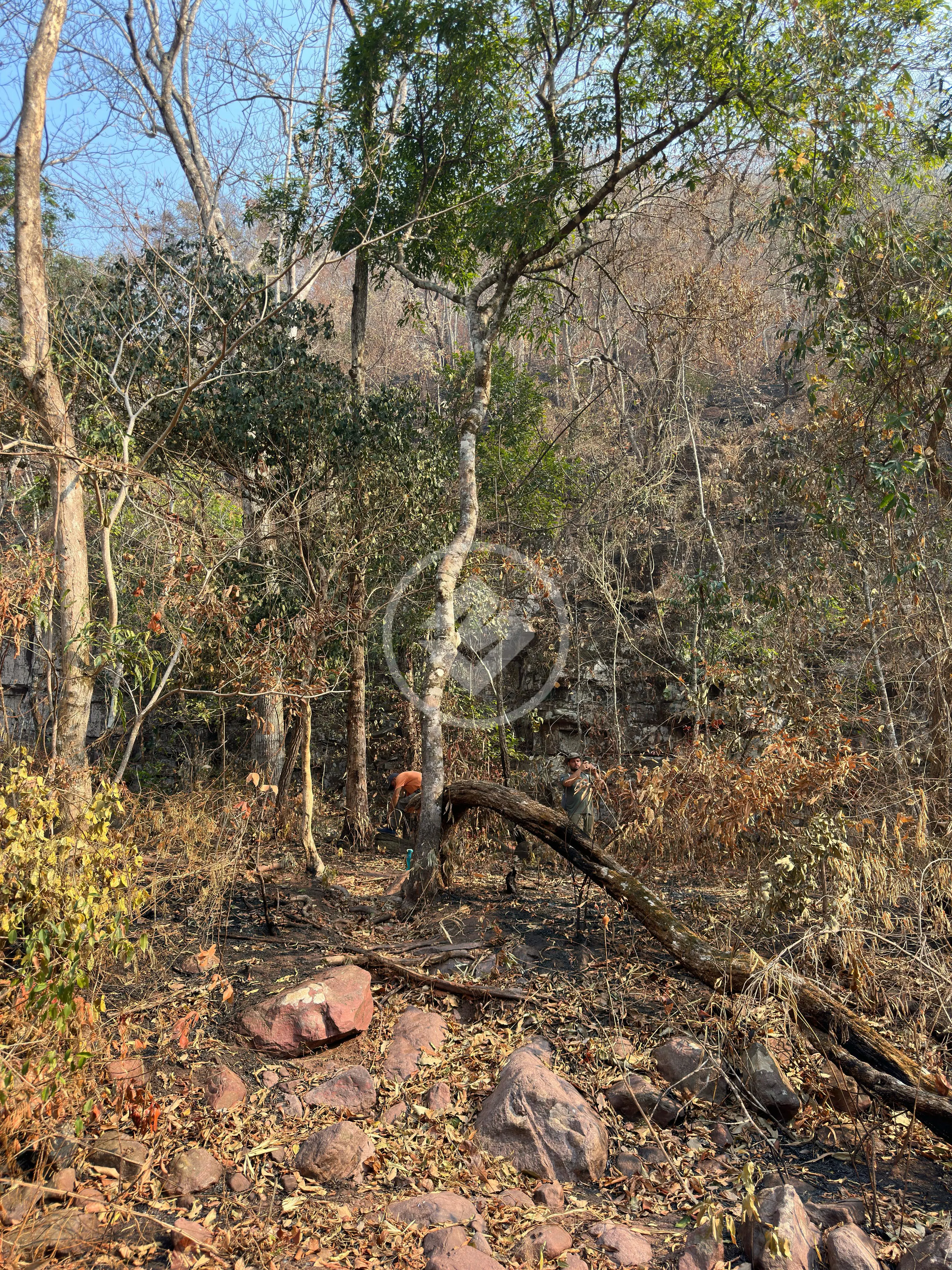 Imagem 3 - Terreno em BAIRRO CONVERSAO, CIDADE CONVERSAO - MT