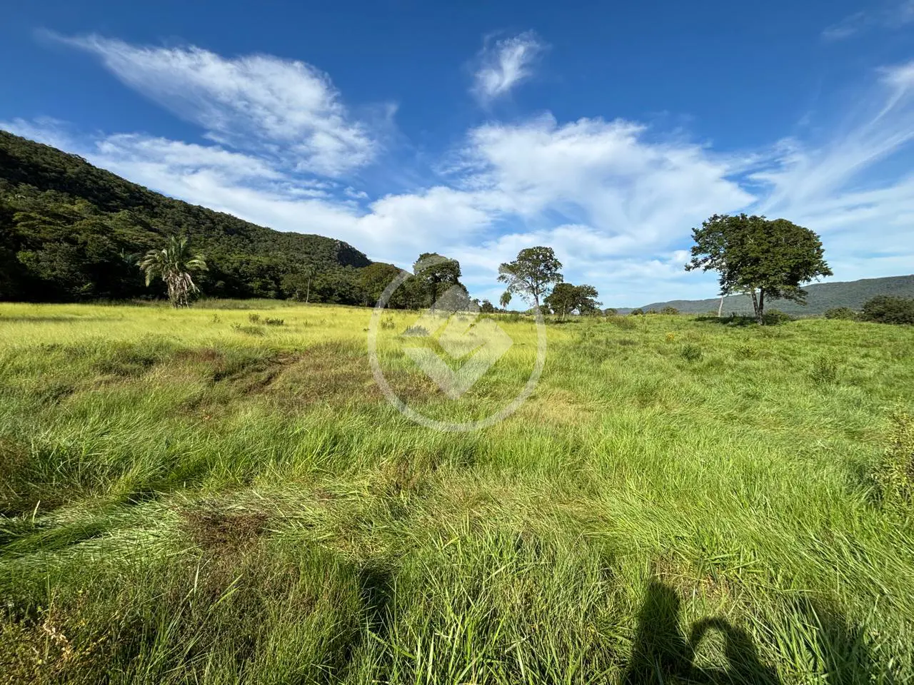 Imagem 2 - Fazenda em Jardim São Luiz da Ponte, Cáceres - MT