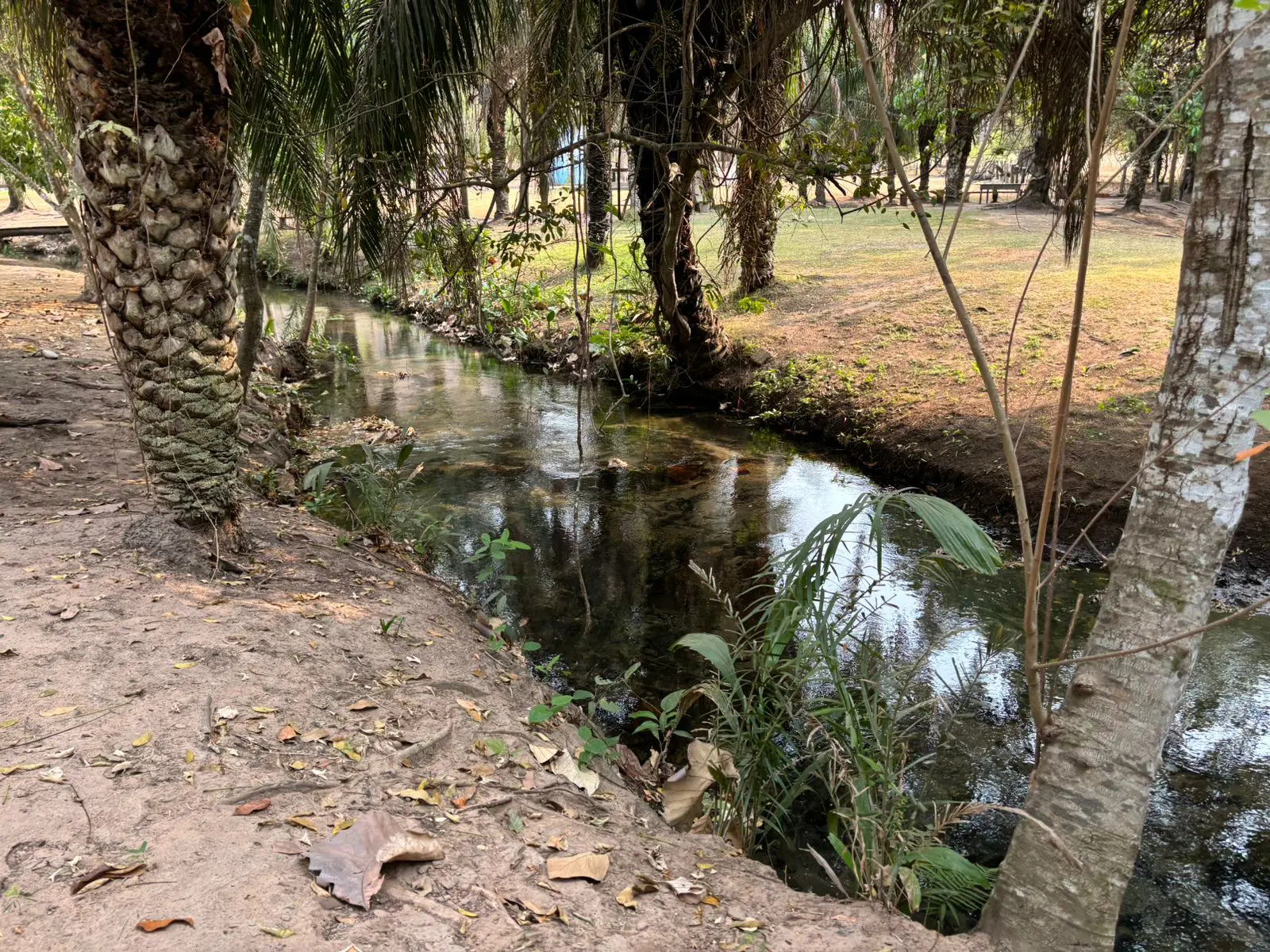 Imagem 5 - Sítio em Centro, Cáceres - MT