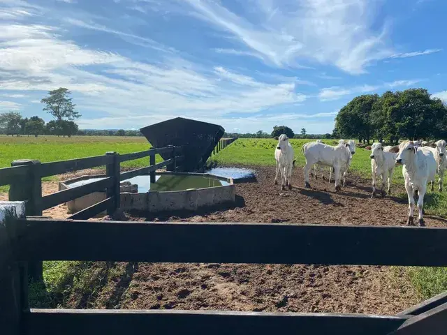 Imagem 6 - Fazenda em COHAB NOVA, Cuiabá - MT