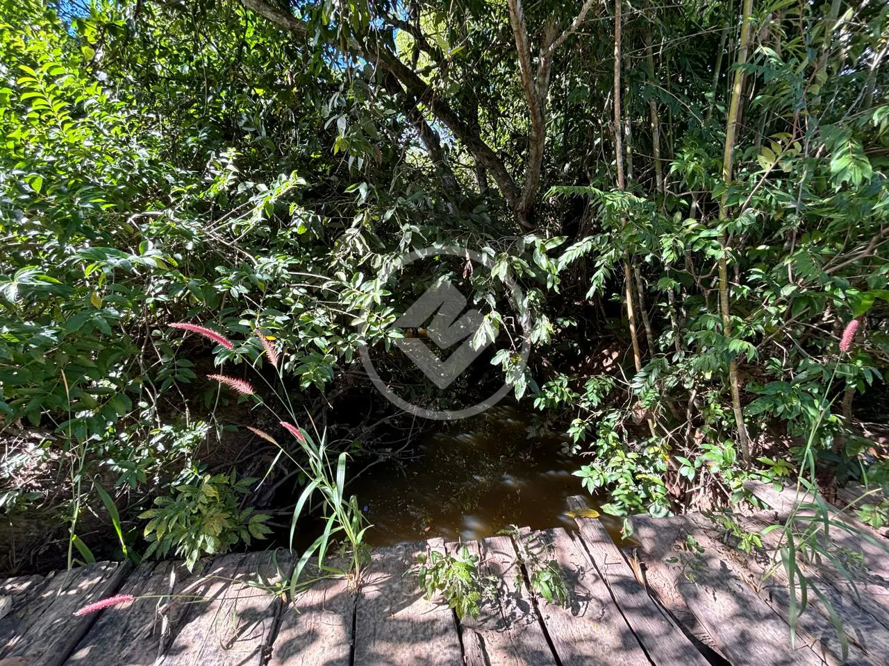 Imagem 4 - Fazenda em Jardim São Luiz da Ponte, Cáceres - MT