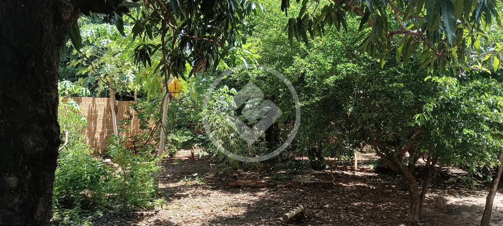 Imagem 5 - Casa em Jardim Padre Paulo, Cáceres - MT