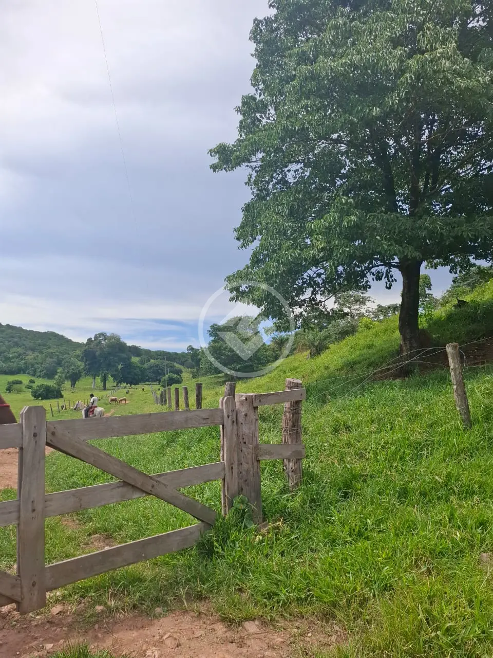 Imagem 2 - Fazenda em ZONA RURAL, Cáceres - MT