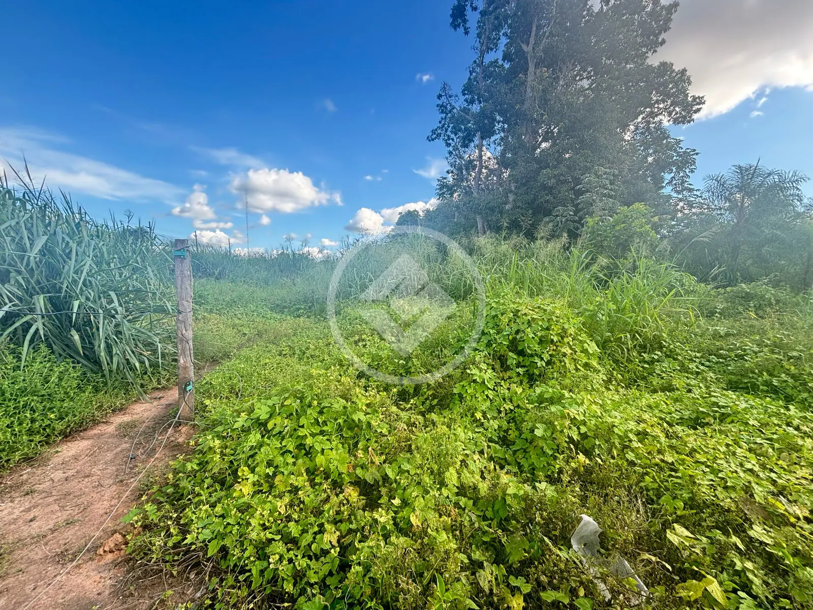 Imagem 4 - Terreno em Dner, Cáceres - MT