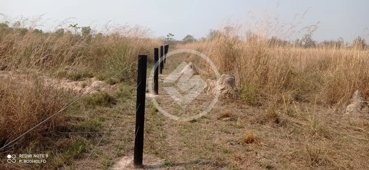 Imagem 5 - Terreno em ZONA RURAL, Cáceres - MT