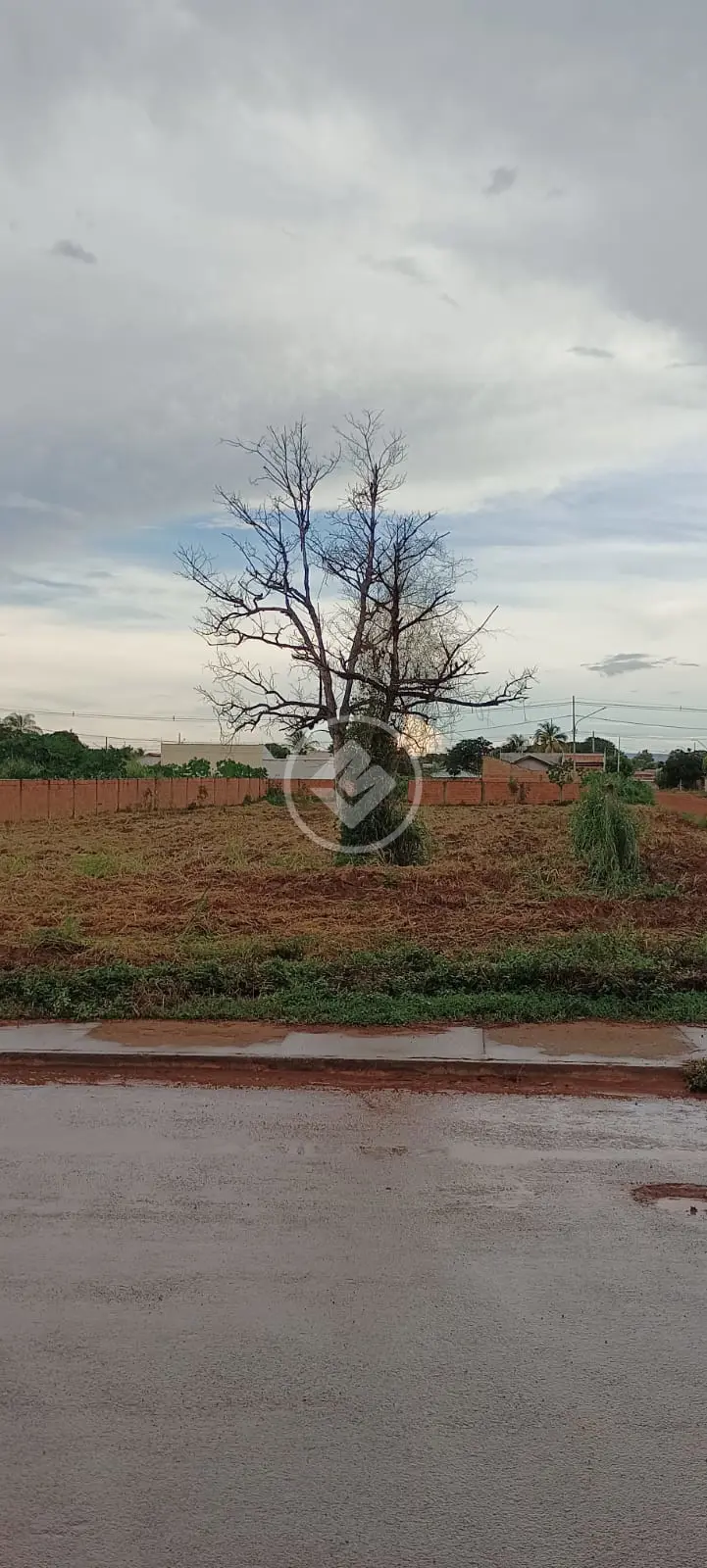 Imagem 1 - Terreno em Vitória Régia, Cáceres - MT