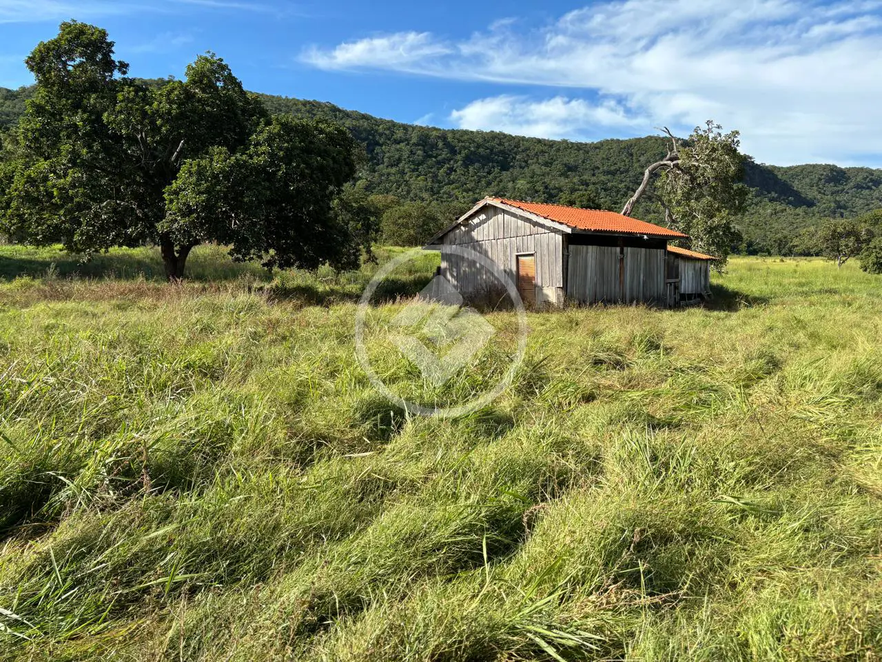 Imagem 6 - Fazenda em Jardim São Luiz da Ponte, Cáceres - MT