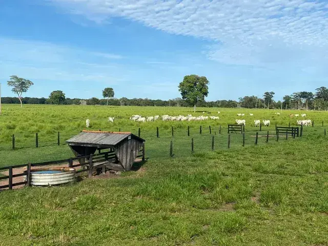 Imagem 4 - Fazenda em COHAB NOVA, Cuiabá - MT