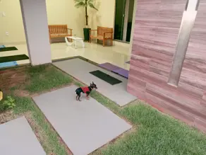 Imagem 2 - Casa em Junco, Cáceres - MT