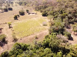 Imagem 2 - Fazenda em Santa Cruz, Cáceres - MT