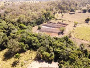 Imagem 3 - Fazenda em Santa Cruz, Cáceres - MT
