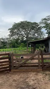 Imagem 4 - Fazenda em Santa Cruz, Cáceres - MT