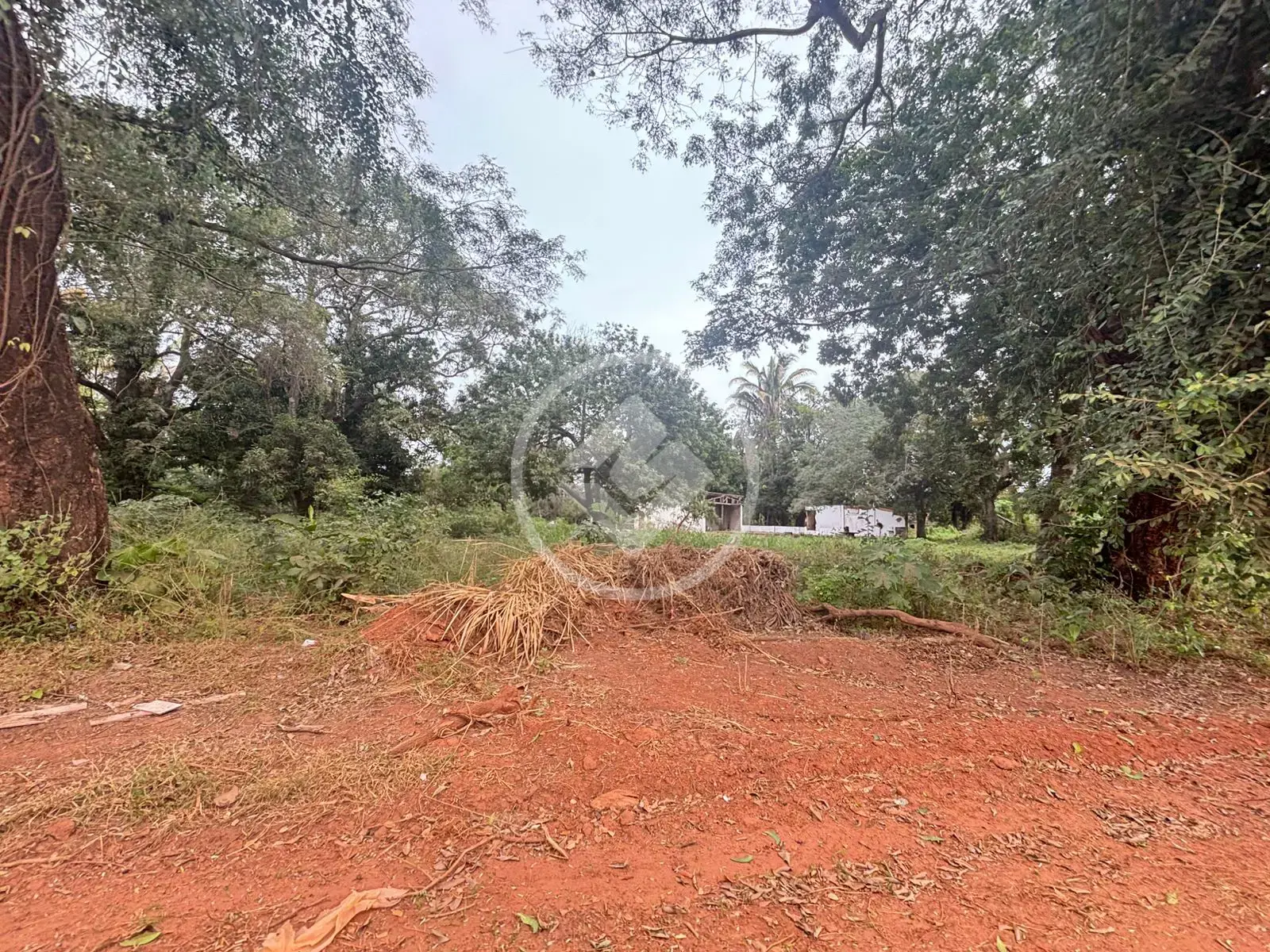 Imagem 2 - Terreno Comercial em São Lourenço, Cáceres - MT