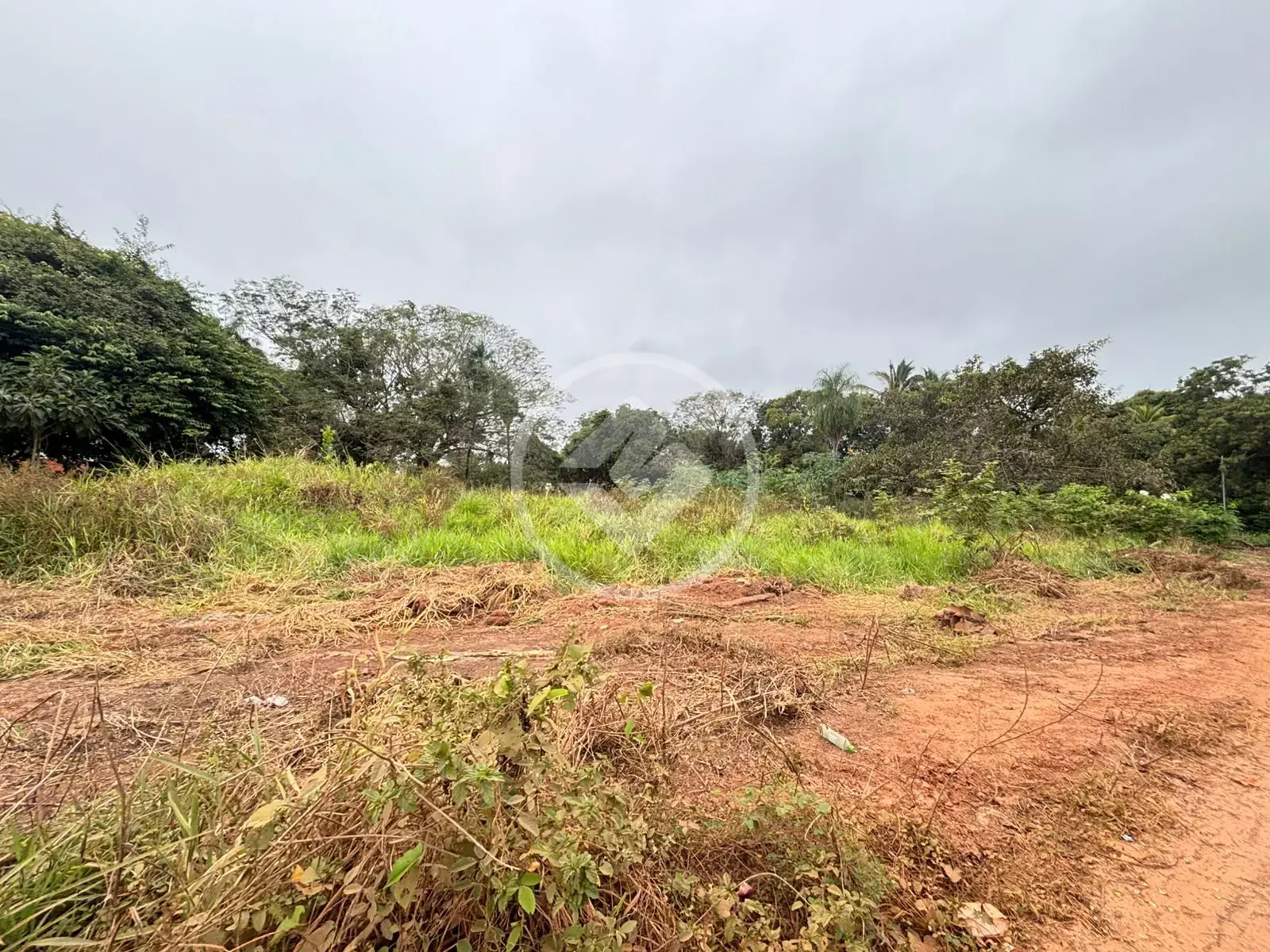 Imagem 3 - Terreno Comercial em São Lourenço, Cáceres - MT